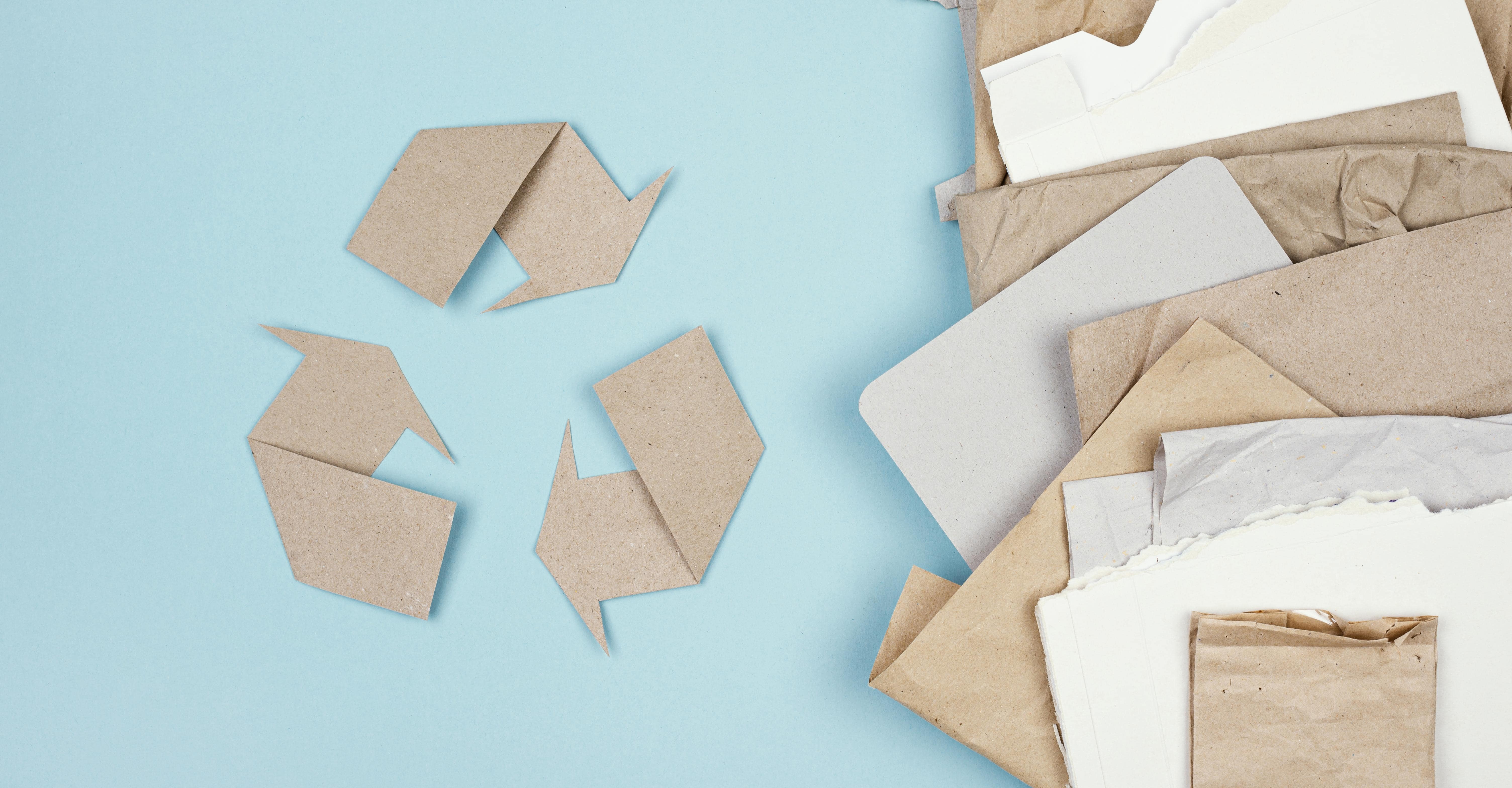 emballage carton professionnel recyclable