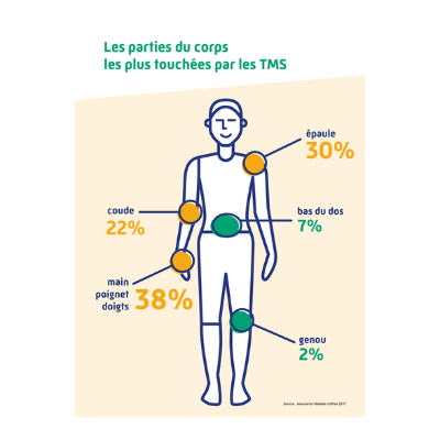 Les membres les plus touchés par les TMS